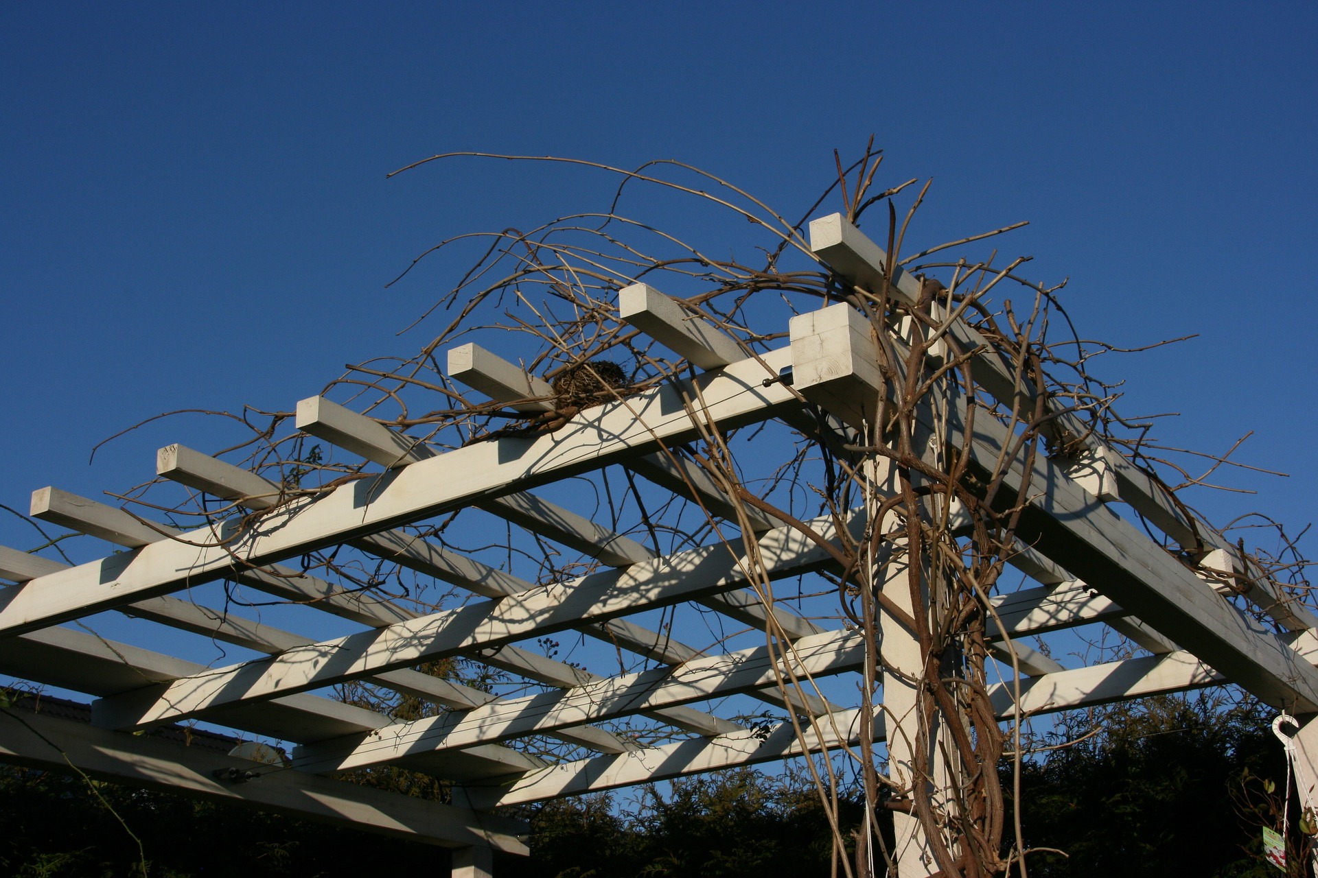 Pergola drewniana – idealne rozwiązanie do ogrodu