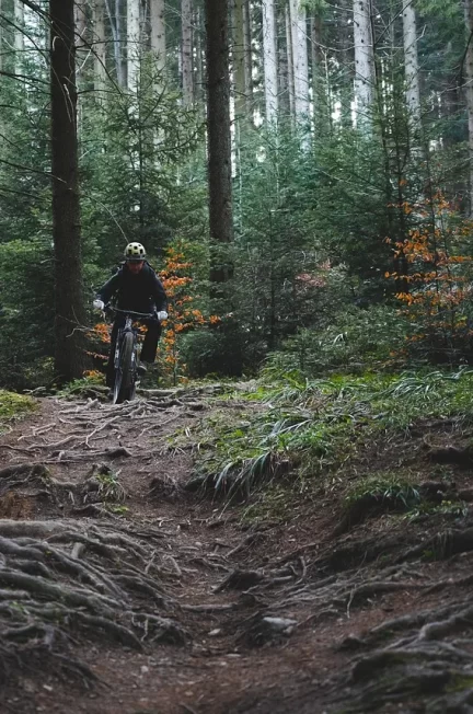 Twoja rowerowa podróż: trekking, szosa, gravel i MTB z profesjonalnym serwisem