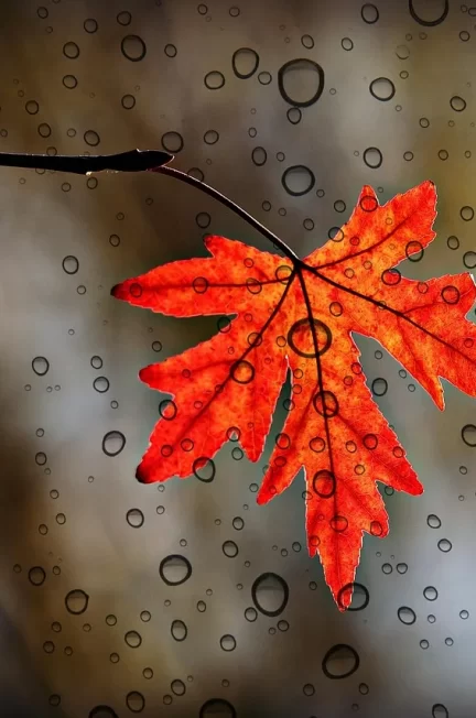 Testy ścieków z szamba — prosty przewodnik dla właścicieli domów