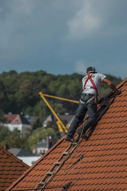 Najlepsze szafki RTV z drewna mango w Unodesign — stylowy wybór do salonu